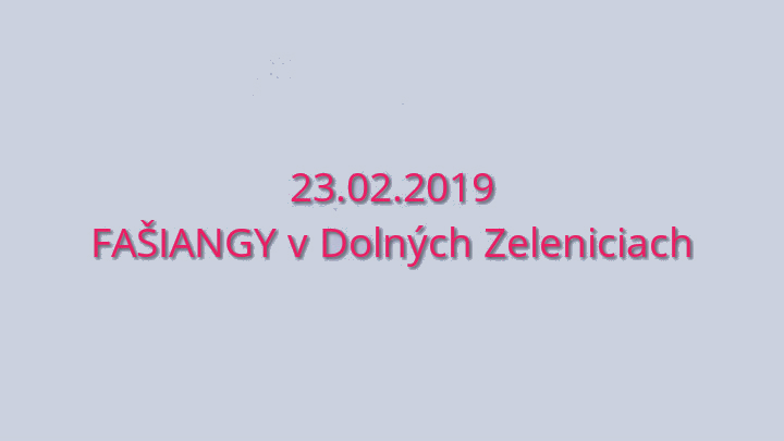 Fašiangy v Dolných Zeleniciach 23.2.2019