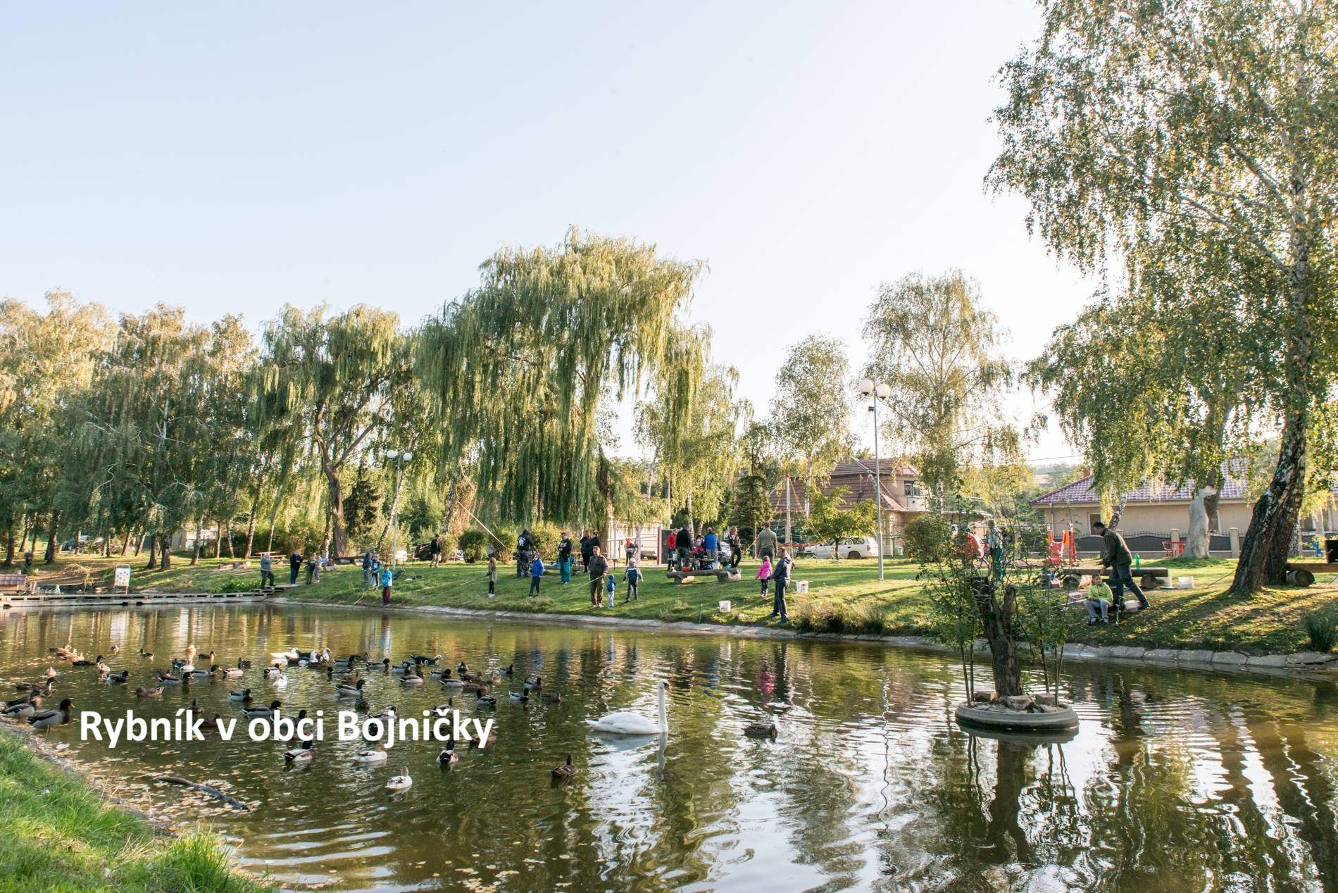 Bojnicky-1